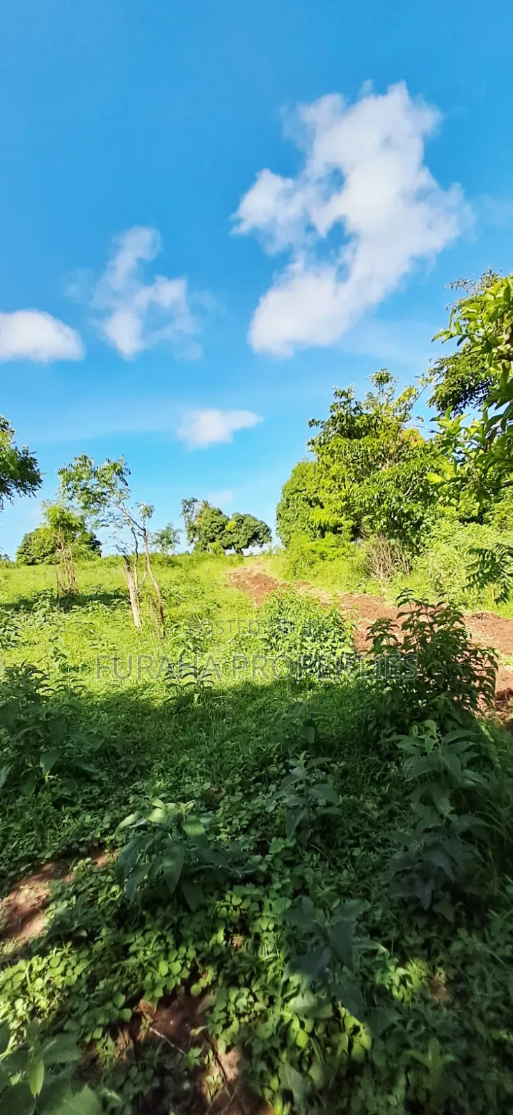 For Sale 11 Acres Land Vipingo in Vipingo