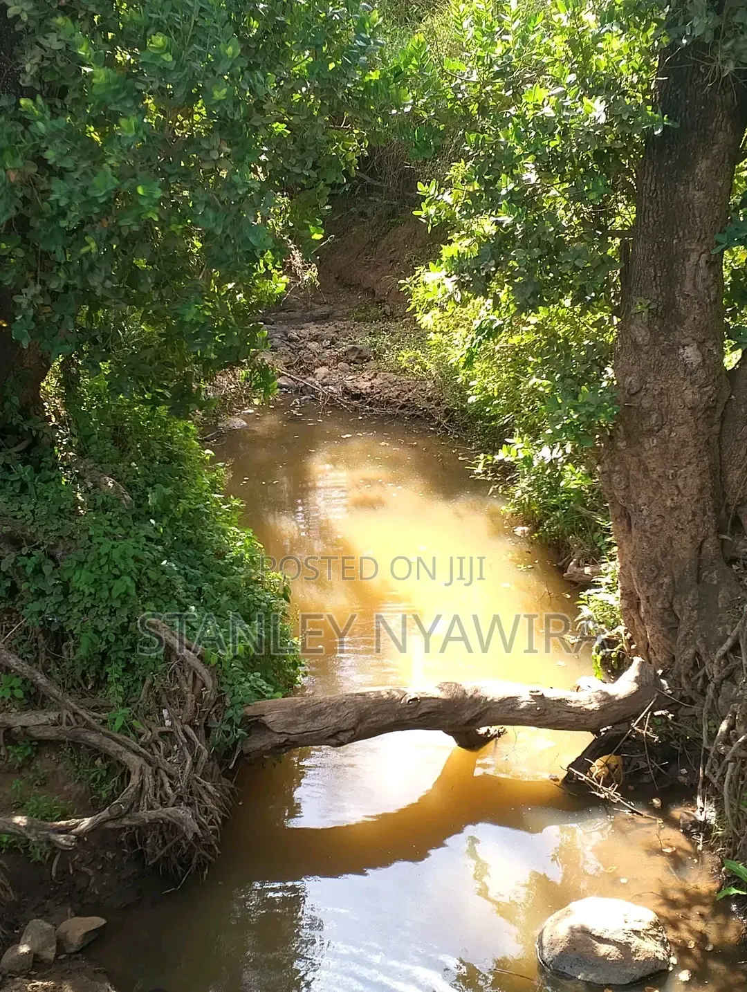 4 Acres Nanyuki Lolodaiga in Nanyuki