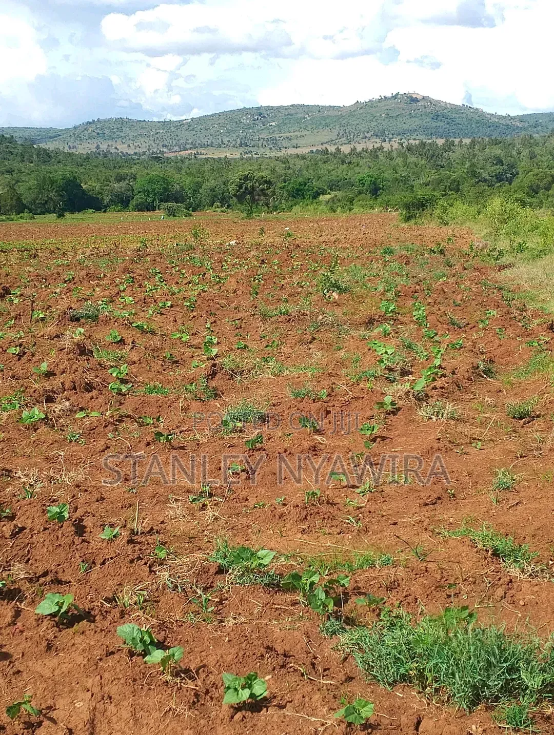 4 Acres Nanyuki Lolodaiga in Nanyuki
