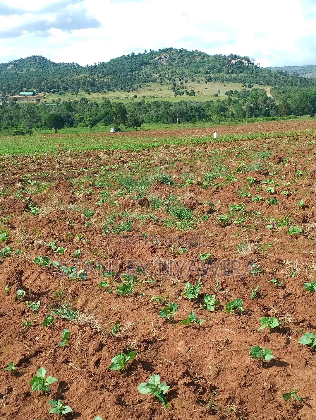 4 Acres Nanyuki Lolodaiga in Nanyuki