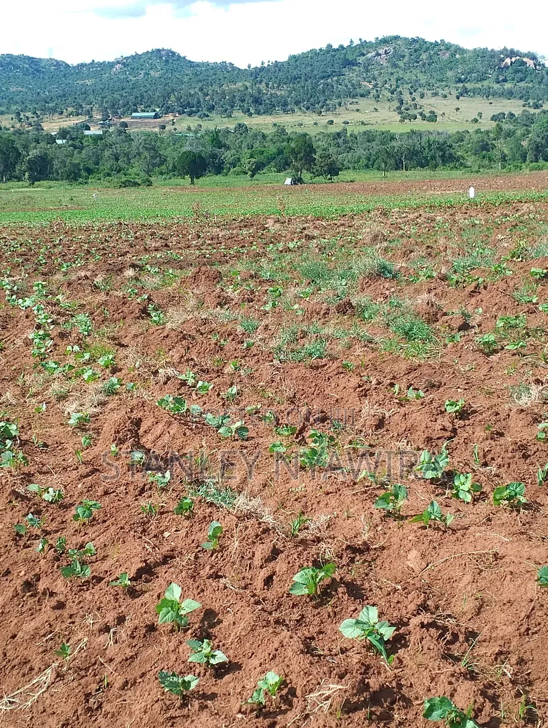4 Acres Nanyuki Lolodaiga in Nanyuki