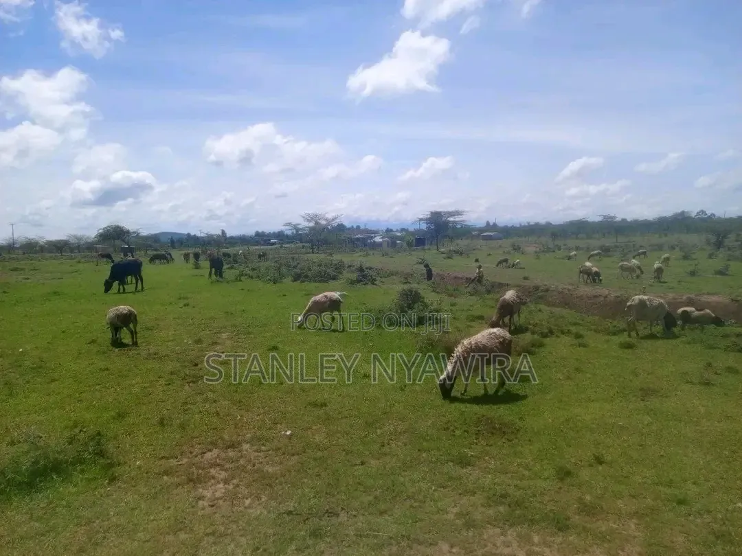 16 Acrea Located Nairutia Narumoro Road in Nanyuki