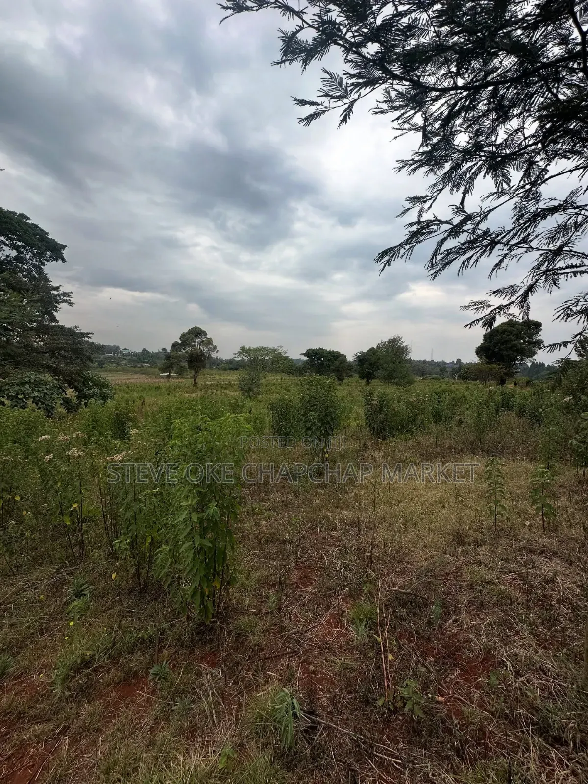Clean Title Karen Land for Sale Kerarapon 3rd Drive: Half 1⁄2-Acre in Kerarapon