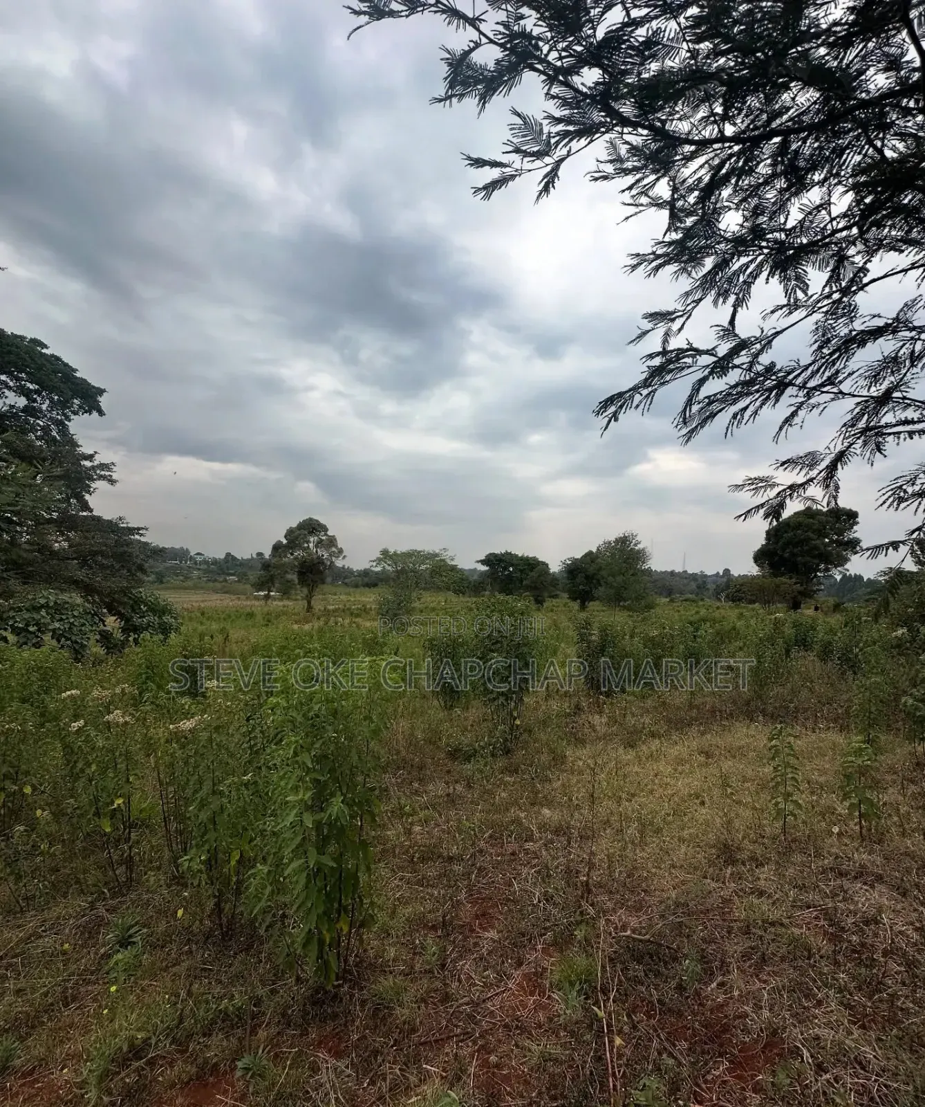 Clean Title Karen Land for Sale Kerarapon 3rd Drive: Half 1⁄2-Acre in Kerarapon