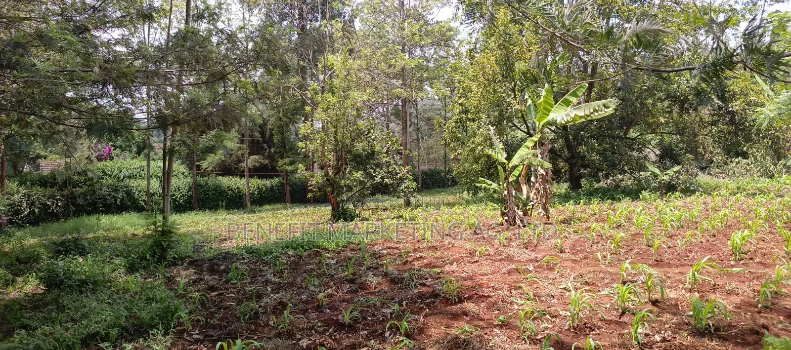 One Acre for Sale in Ngong Off Maasai Road. in Ngong