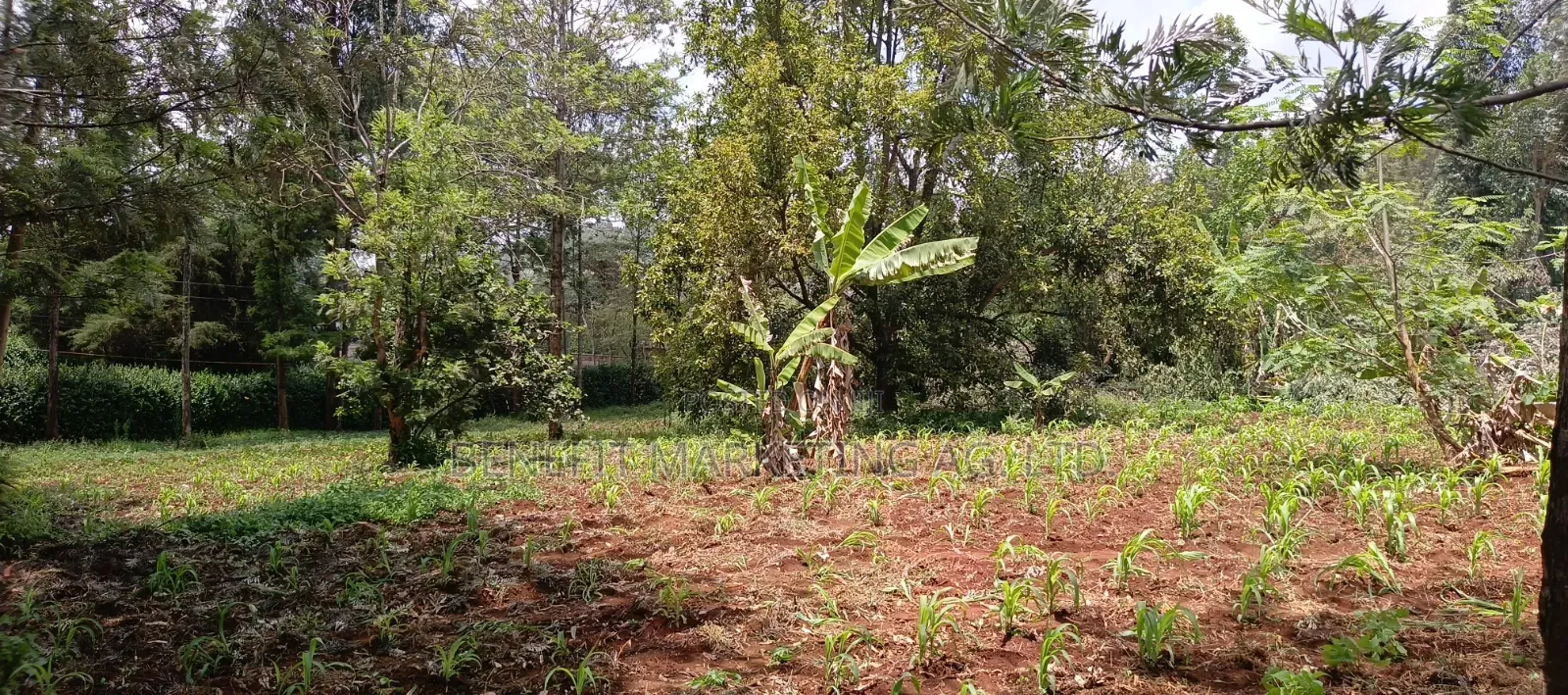 One Acre for Sale in Ngong Off Maasai Road. in Ngong