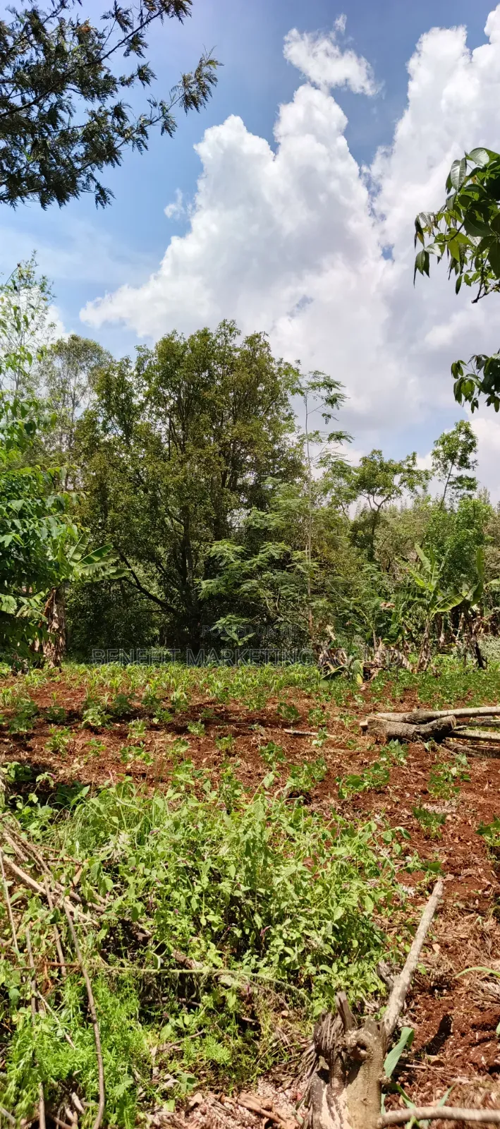 One Acre for Sale in Ngong Off Maasai Road. in Ngong