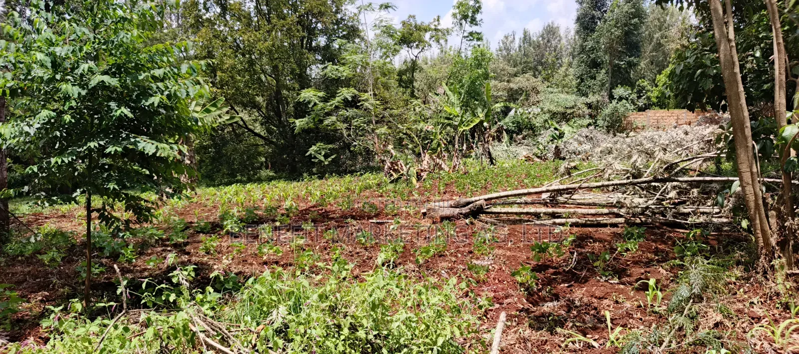 One Acre for Sale in Ngong Off Maasai Road. in Ngong