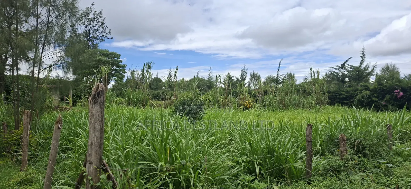 Prime 50x100 Plot for Sale in Naivasha Kinamba in Naivasha