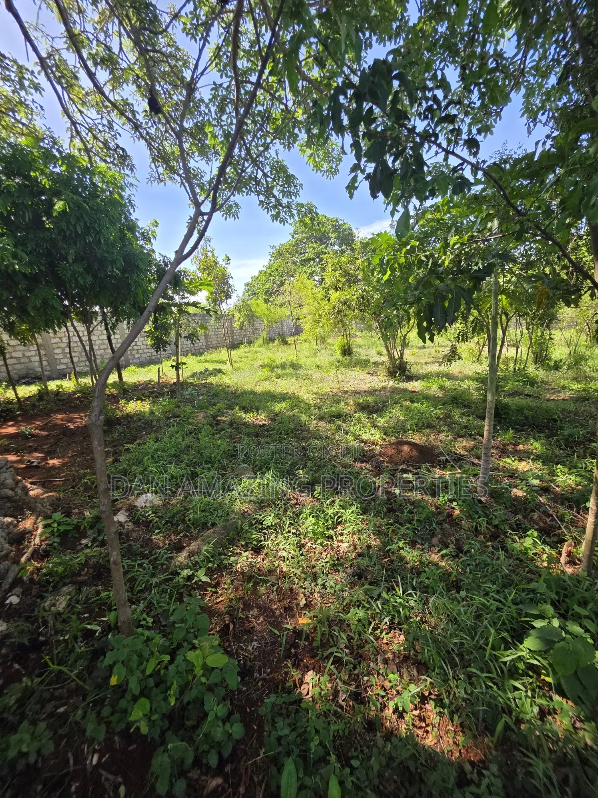 1/2 Acre Plot for Sale in Diani Galu Kinondo in Diani