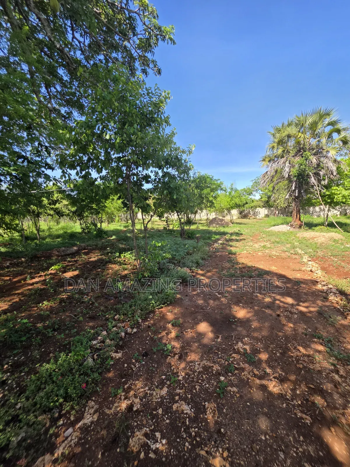 1/2 Acre Plot for Sale in Diani Galu Kinondo in Diani