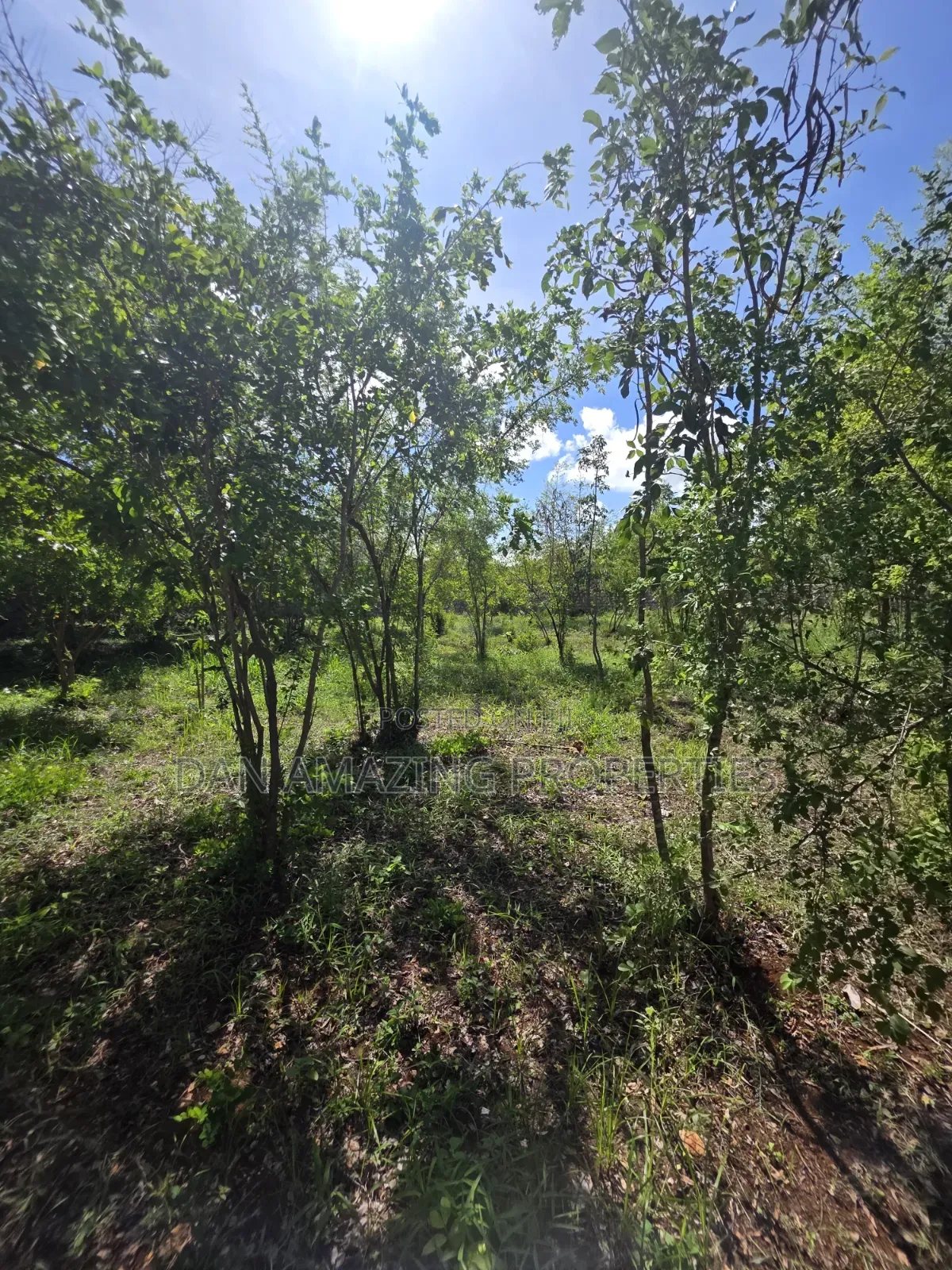 1/2 Acre Plot for Sale in Diani Galu Kinondo in Diani