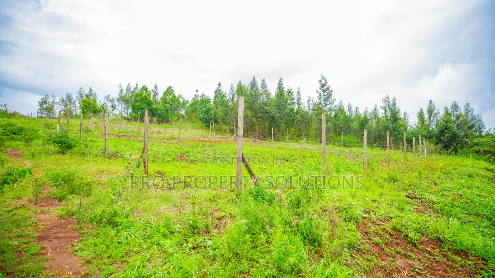 50 By 100ft Prime Residential Plots For Sale In Kikuyu, Kamangu in Kikuyu