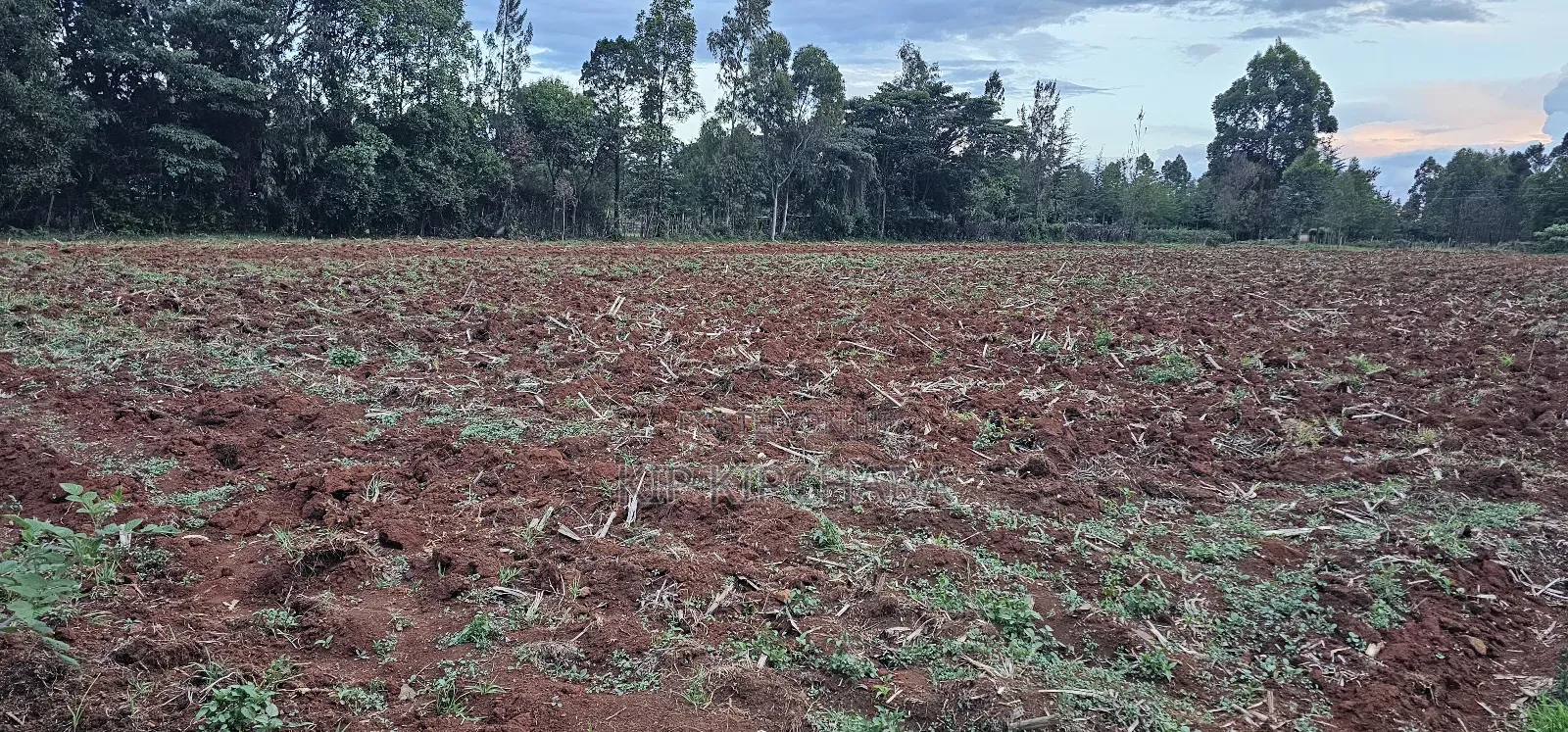 1 a Re for Sake in Simat Kipkenyo Eldoret in Kipkenyo