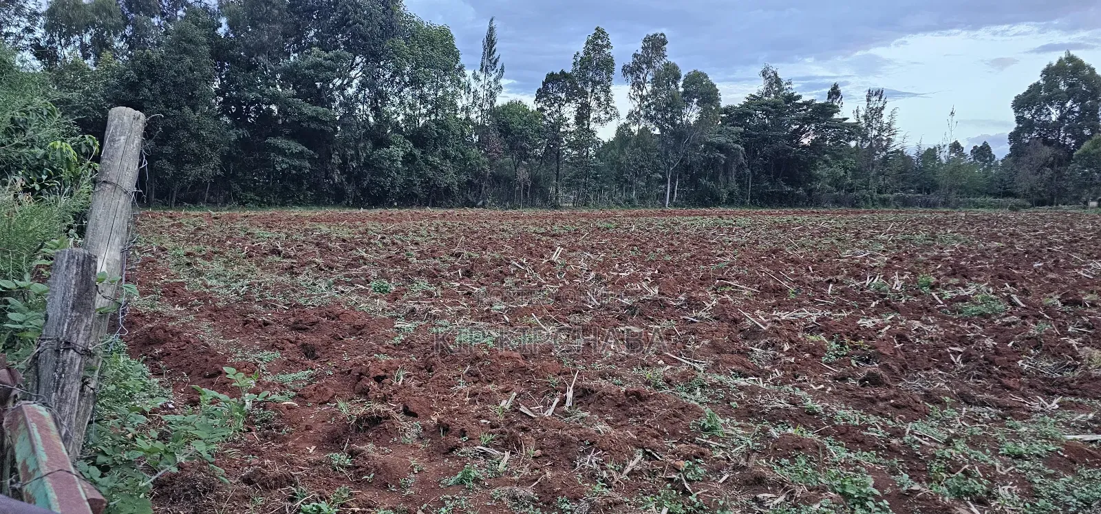 1 a Re for Sake in Simat Kipkenyo Eldoret in Kipkenyo