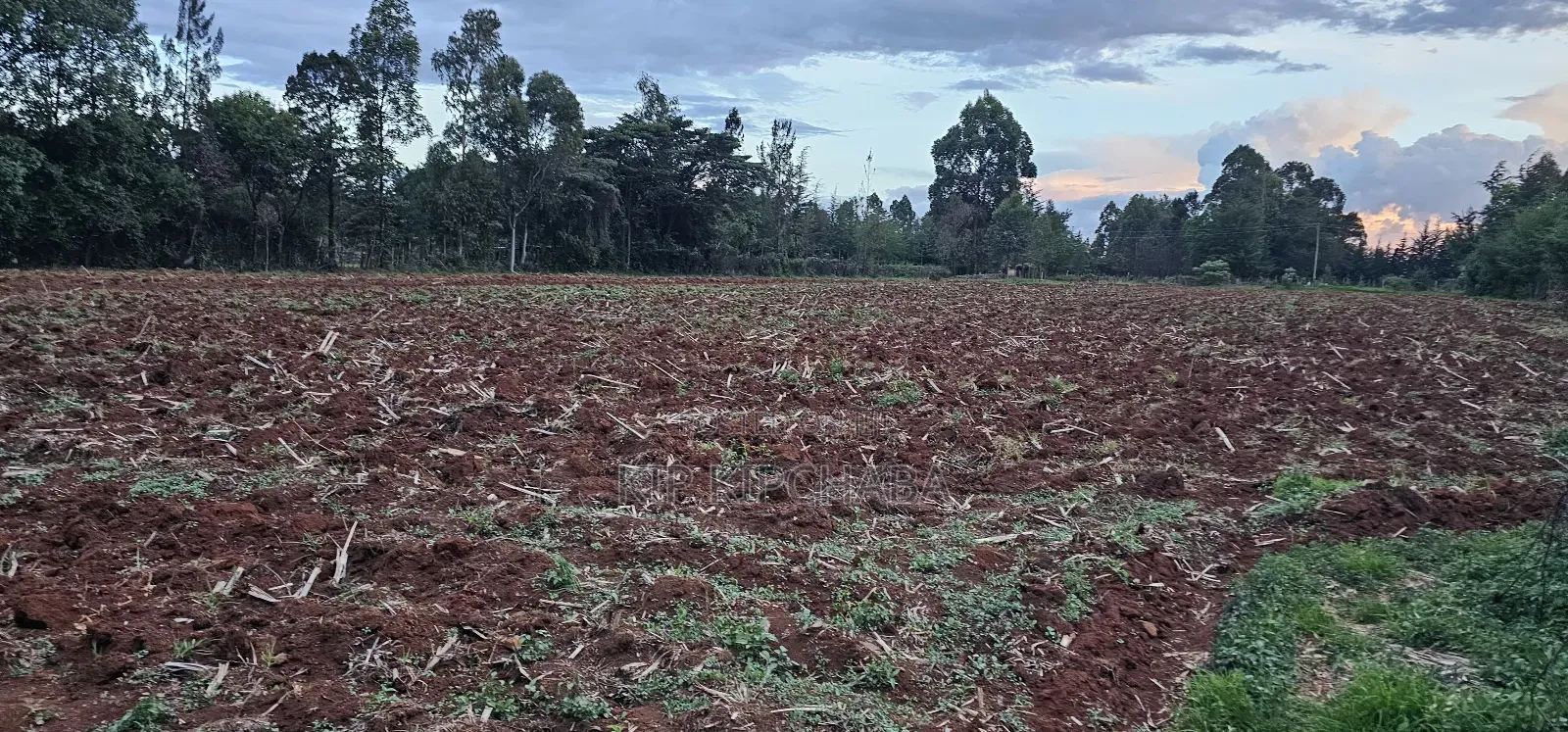 1 a Re for Sake in Simat Kipkenyo Eldoret in Kipkenyo