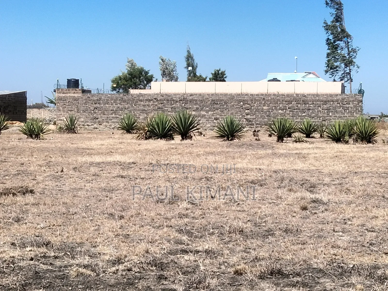 50*100 Residential Plot for Sale at Juja Farm Mumba in Kalimoni