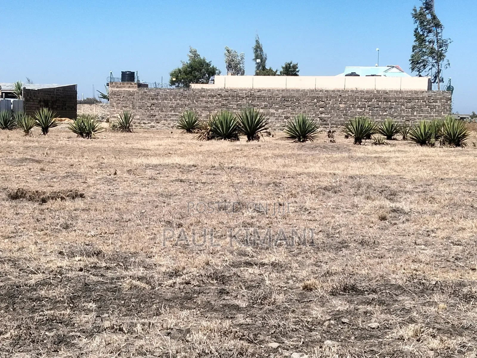 50*100 Residential Plot for Sale at Juja Farm Mumba in Kalimoni