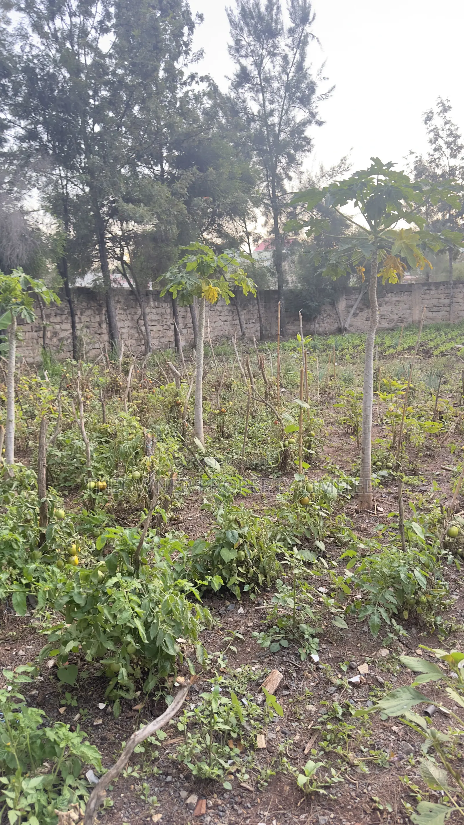 3/4 Residential Plot for Sale Utawala Benedicta Next to Fahari Hotel in Utawala