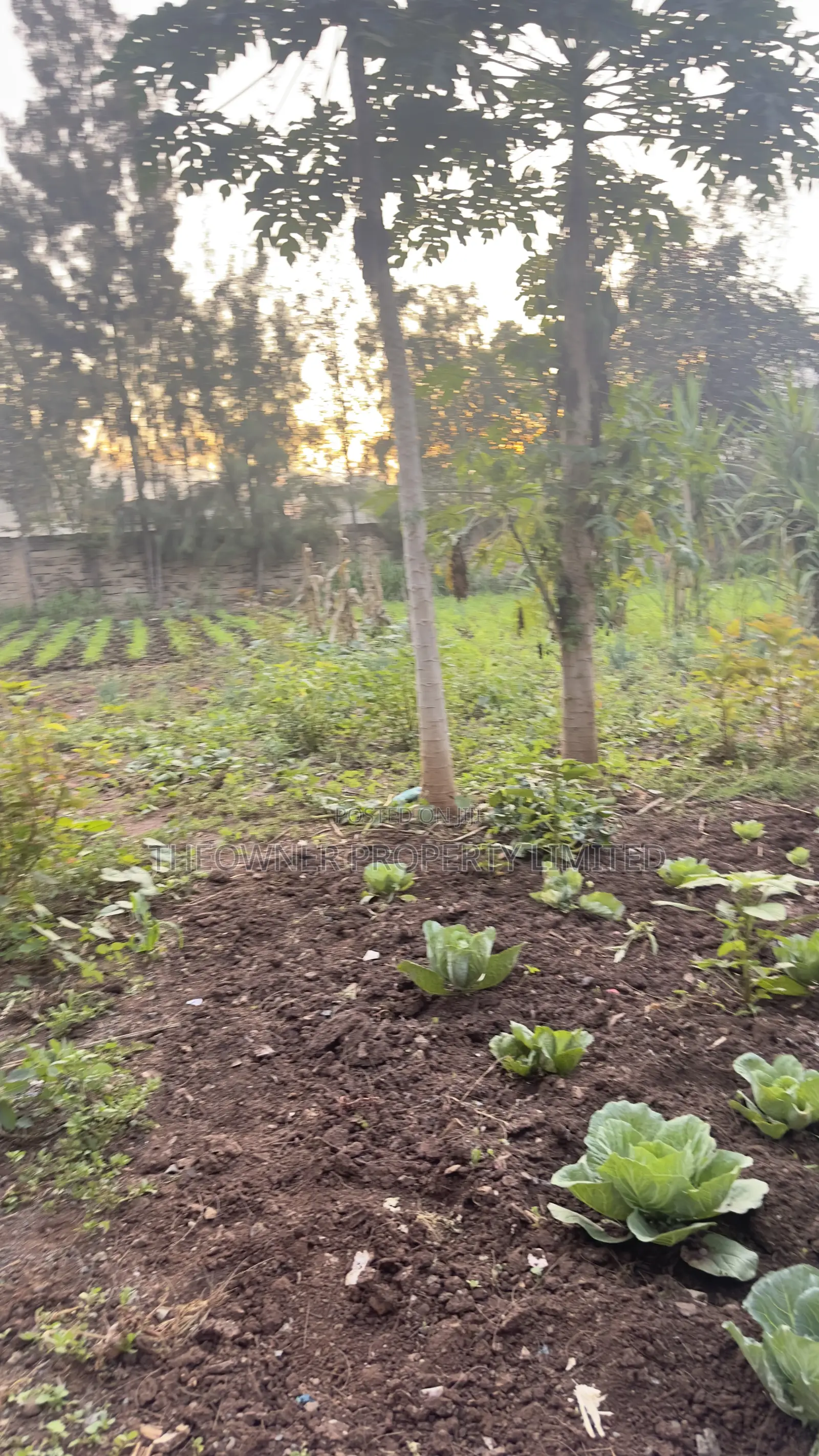 3/4 Residential Plot for Sale Utawala Benedicta Next to Fahari Hotel in Utawala