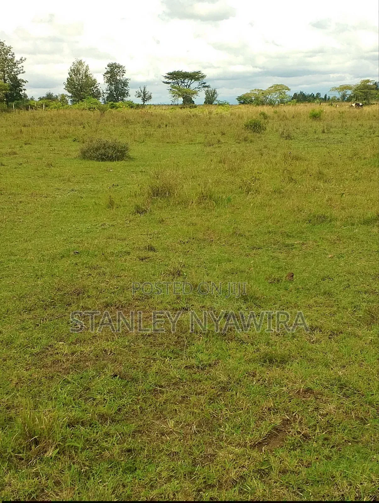 4 Acres Nanyuki Nyeri Highway in Nanyuki