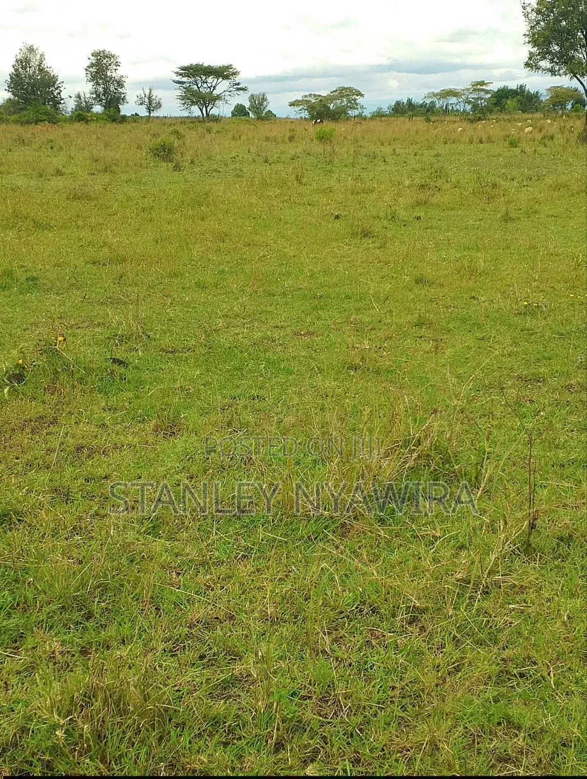 4 Acres Nanyuki Nyeri Highway in Nanyuki