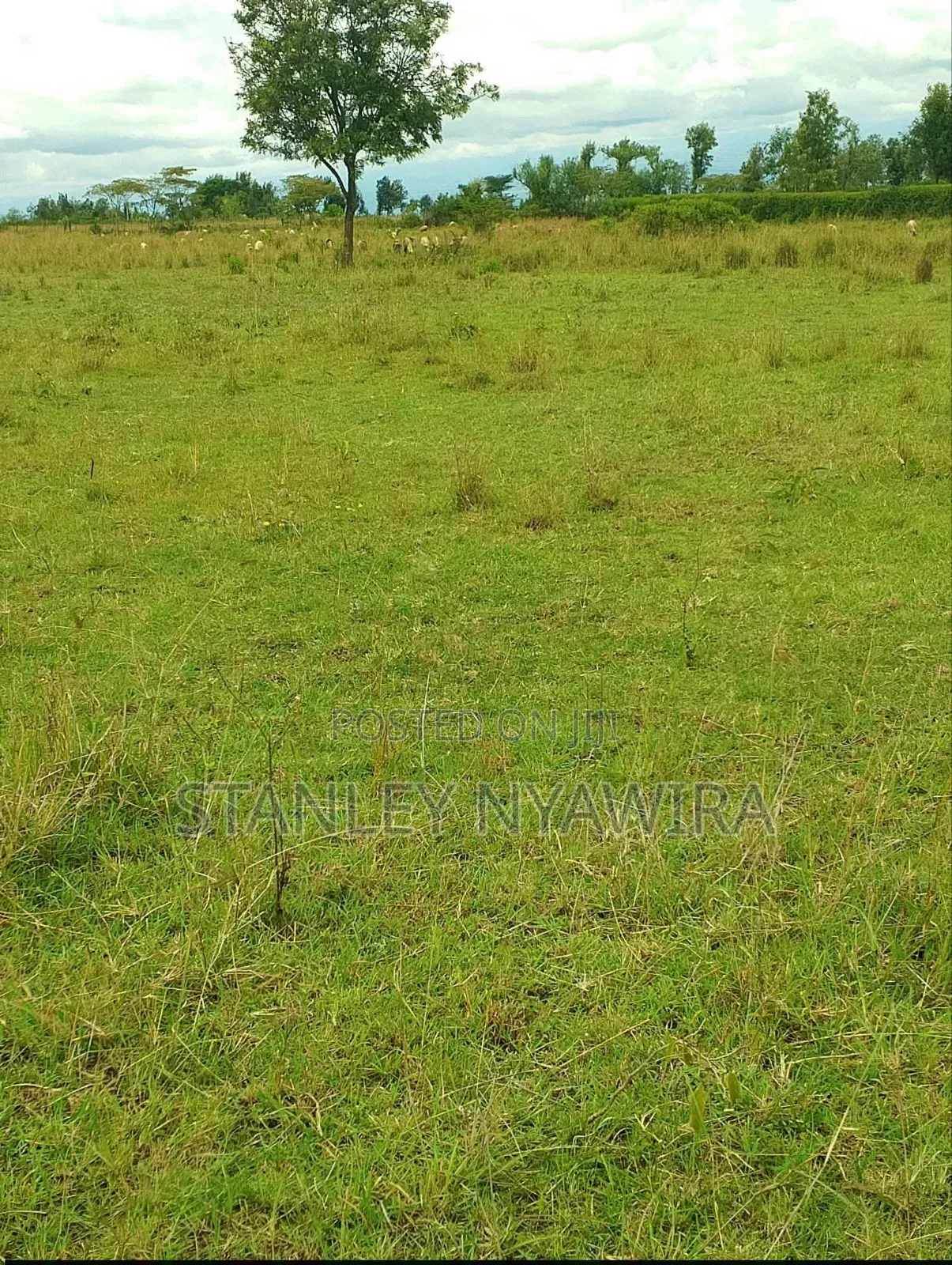 4 Acres Nanyuki Nyeri Highway in Nanyuki