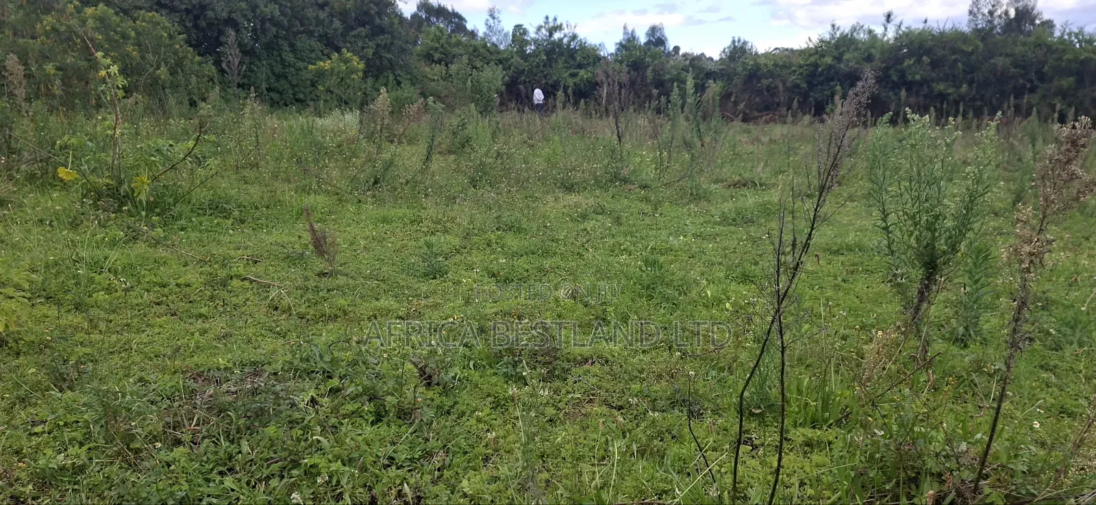 1 Acre Prime Land for Sale – Cokereria, Gilgil (Nakuru Count in Karunga