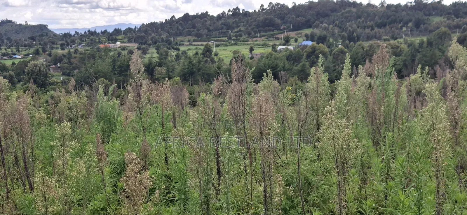 1 Acre Prime Land for Sale – Cokereria, Gilgil (Nakuru Count in Karunga