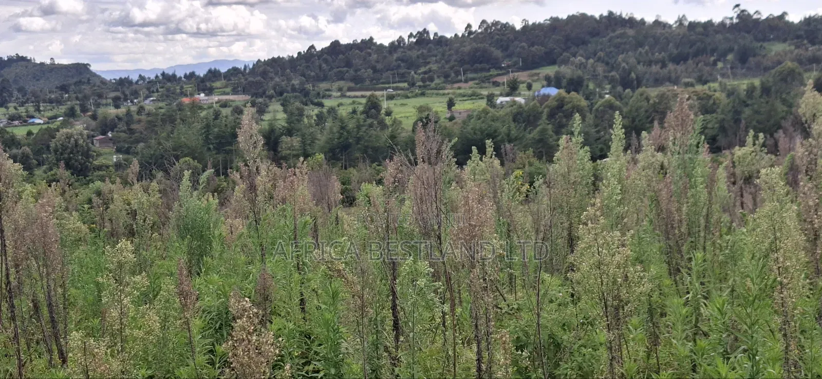 1 Acre Prime Land for Sale – Cokereria, Gilgil (Nakuru Count in Karunga