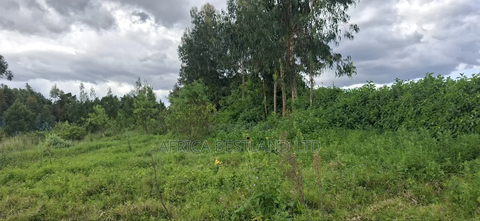 1 Acre Prime Land for Sale – Cokereria, Gilgil (Nakuru Count in Karunga