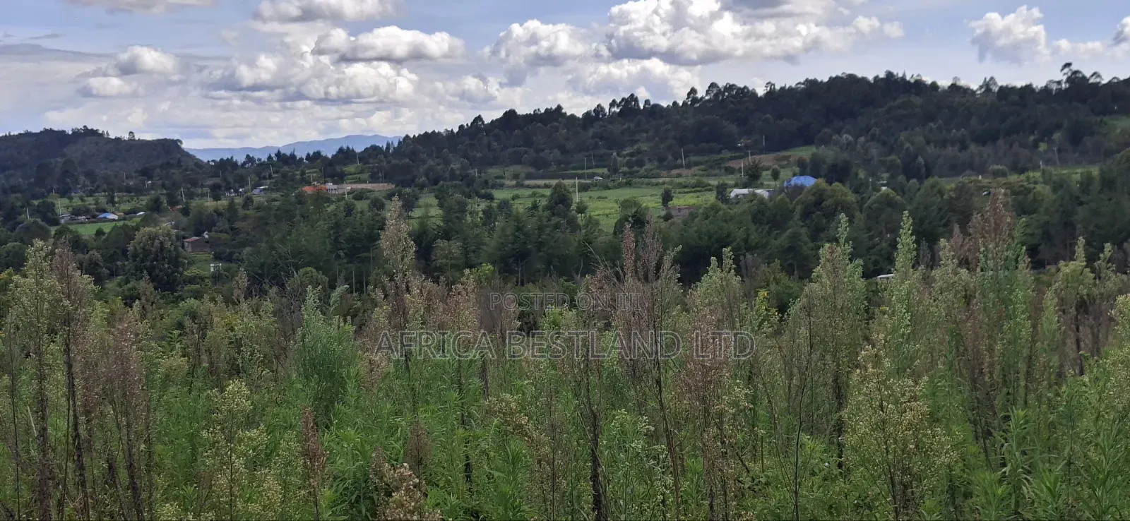 1 Acre Prime Land for Sale – Cokereria, Gilgil (Nakuru Count in Karunga