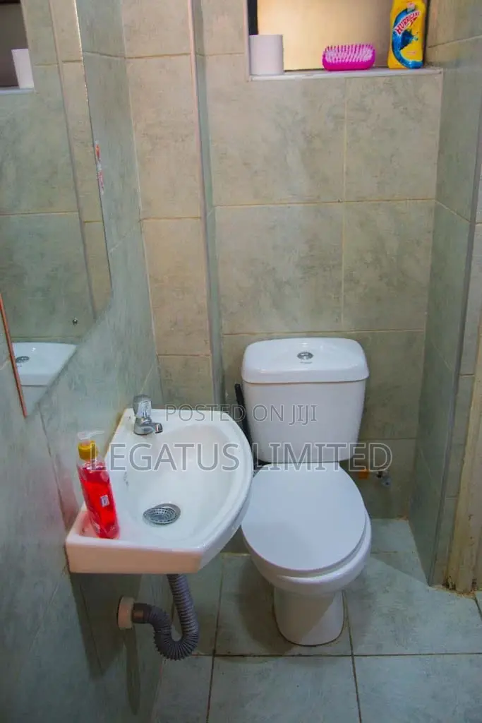 Furnished Studio Laiser Hill, Ongata Rongai - Legatus Cozy Homes in NkaiMurunya