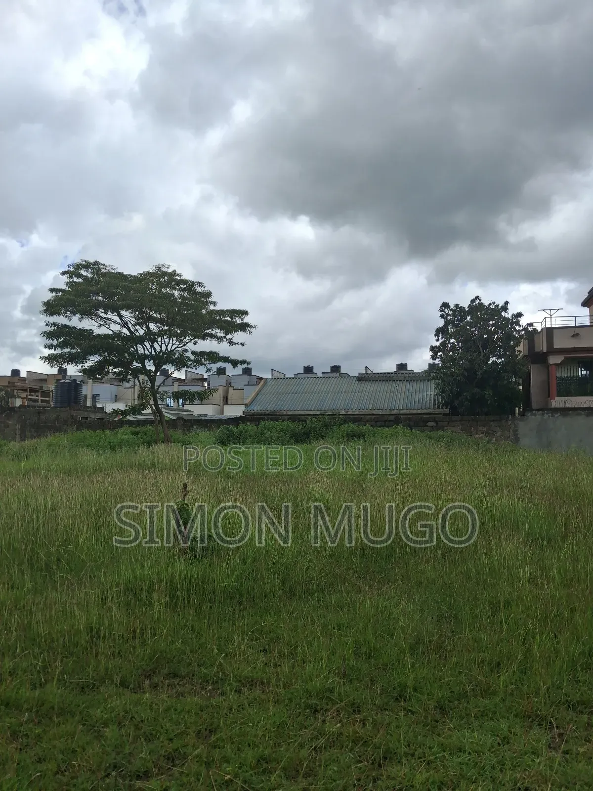 Ruiru Kamakis Gatongora 2 Prime 50x100 Quick Sale 3.5M Freehold Title in Kamakis