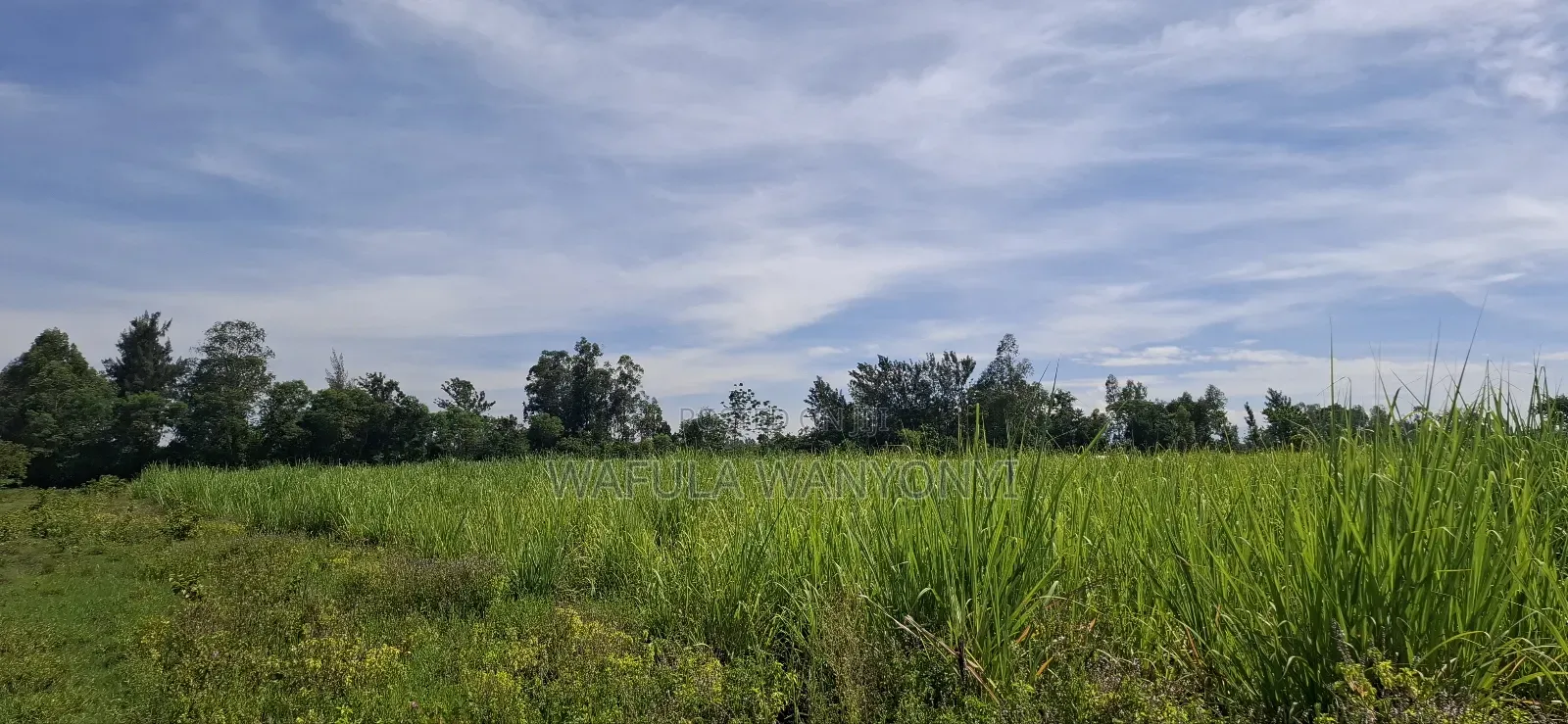 4 Acres Kamolo After Malaba in Amukura West