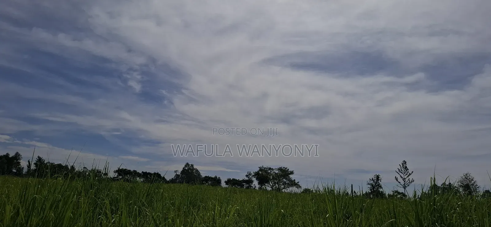 4 Acres Kamolo After Malaba in Amukura West