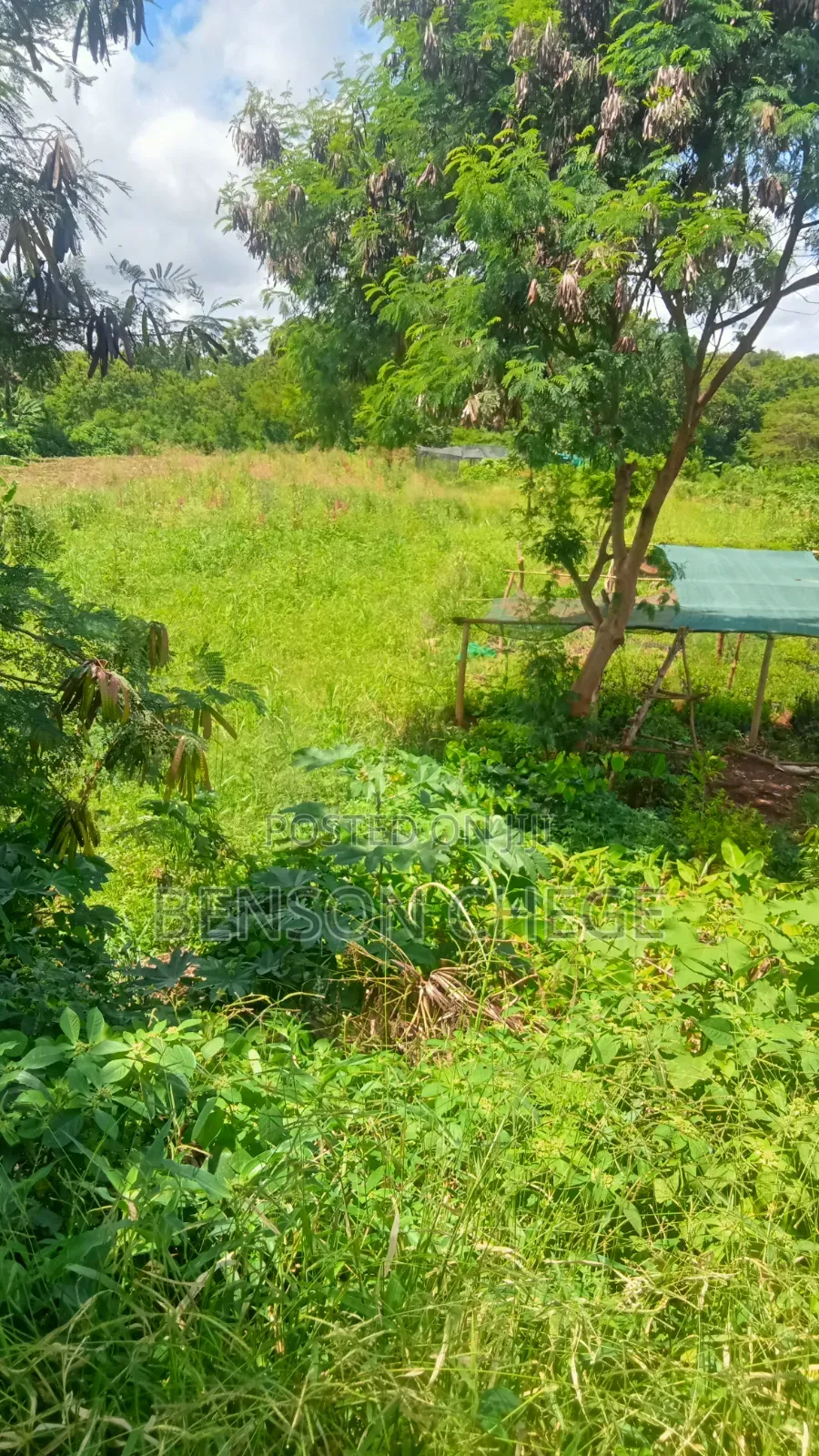 5.5 Acre for Sale Along Kenol Marua Highway in Kambiti