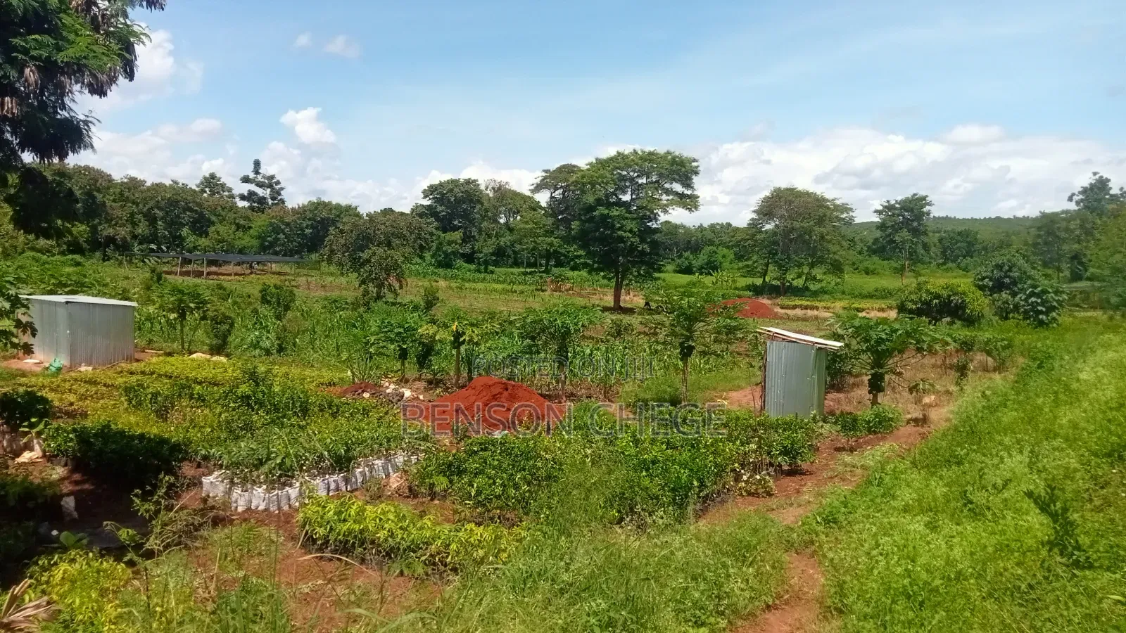 5.5 Acre for Sale Along Kenol Marua Highway in Kambiti