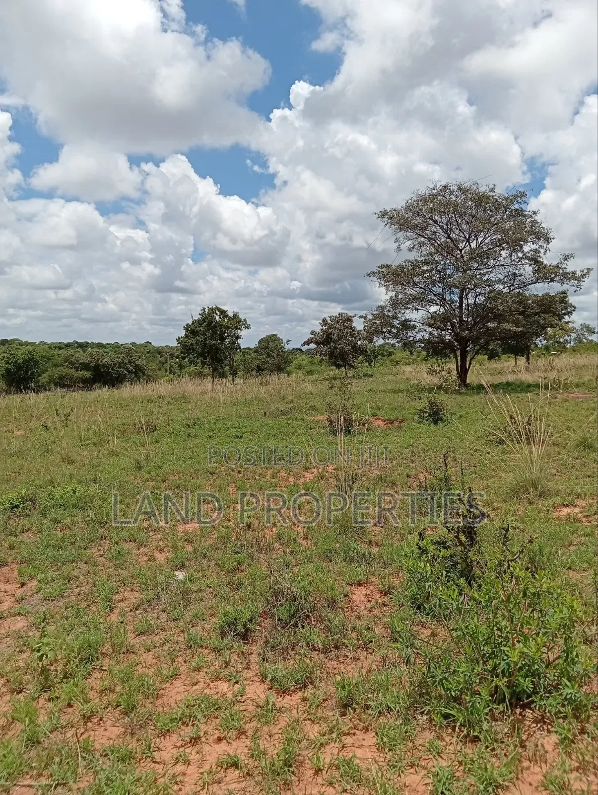 Affordable Plots in Matuu in Matuu