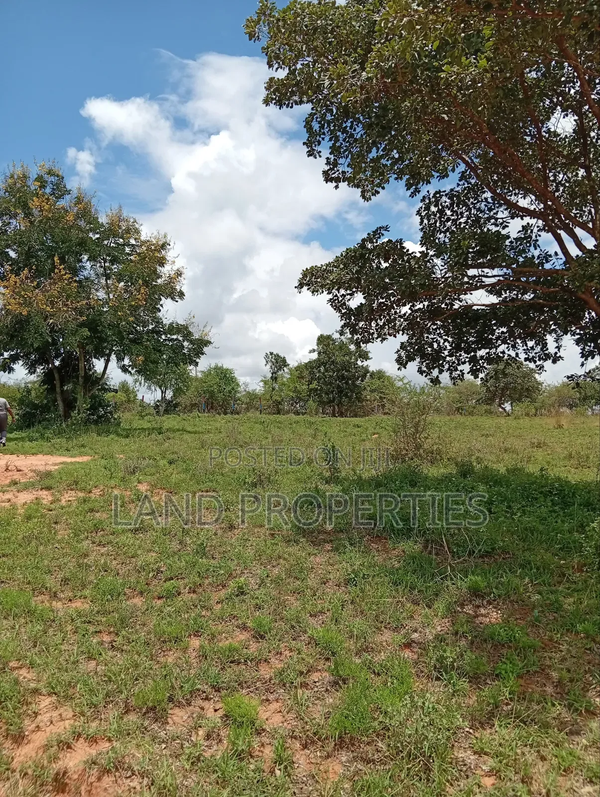 Affordable Plots in Matuu in Matuu