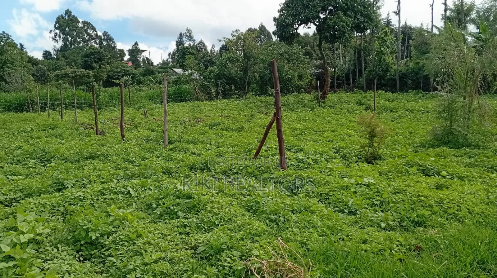 Kikuyu Plots for Sale (Kerwa) in Kikuyu
