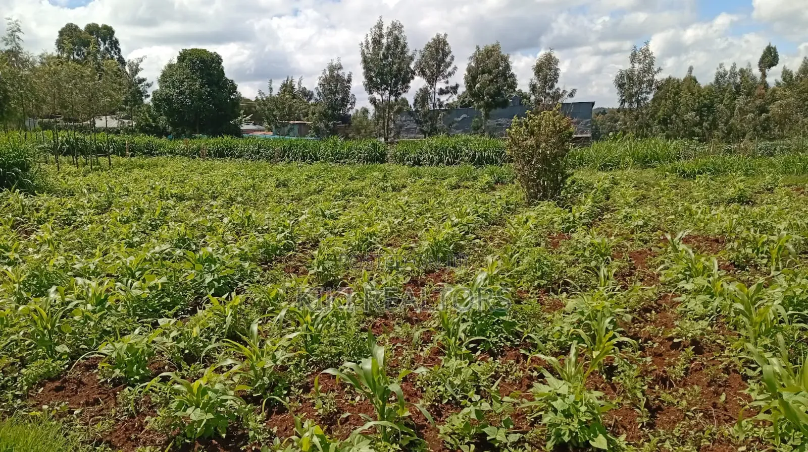 Kikuyu Plots for Sale (Kerwa) in Kikuyu