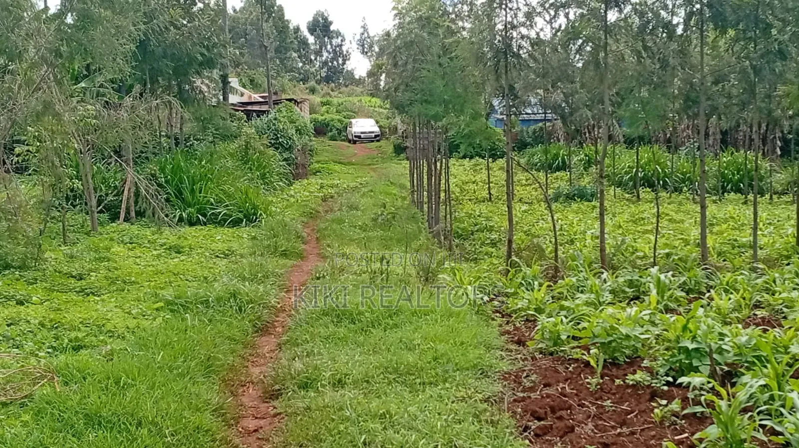 Kikuyu Plots for Sale (Kerwa) in Kikuyu