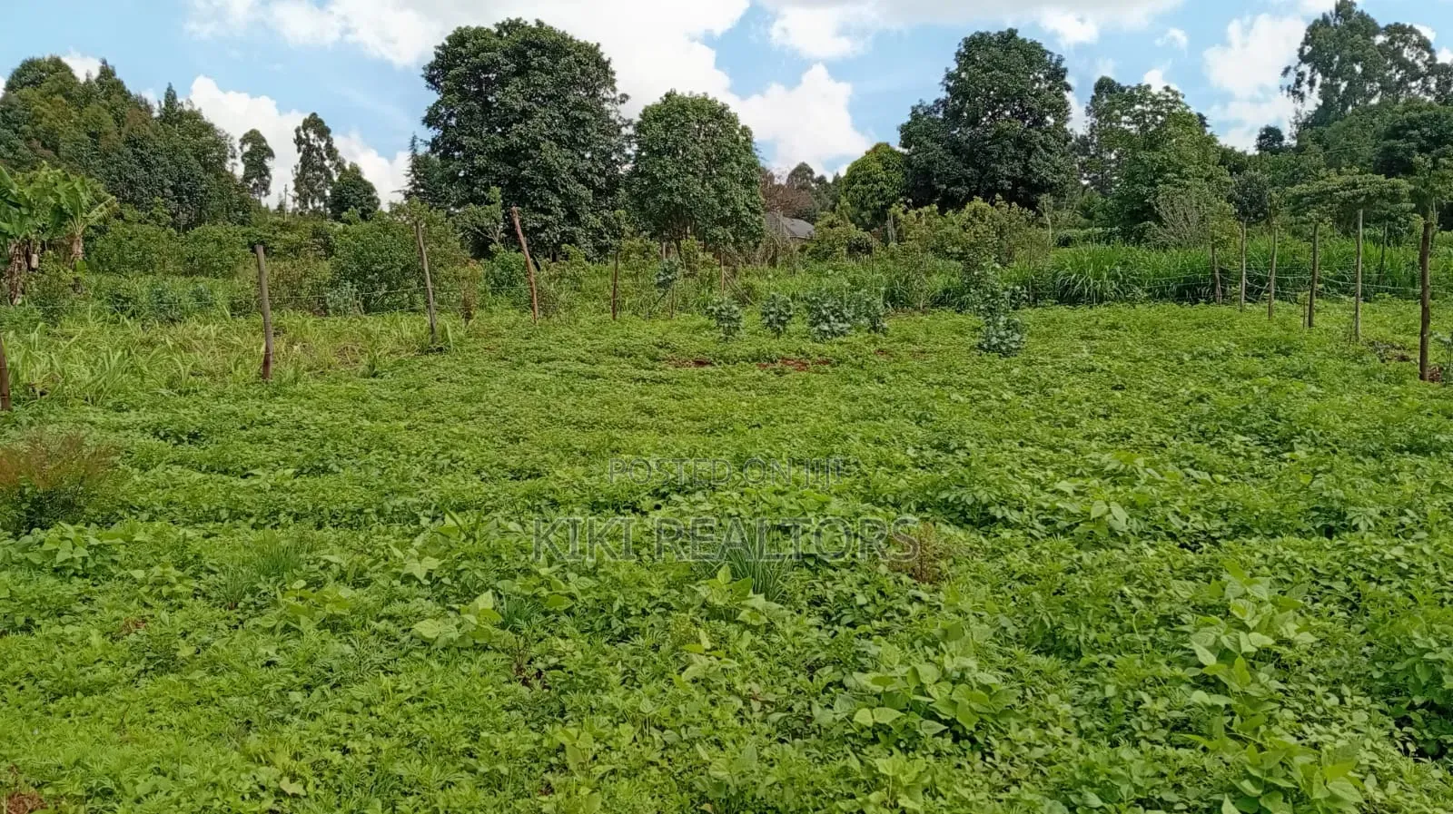 Kikuyu Plots for Sale (Kerwa) in Kikuyu