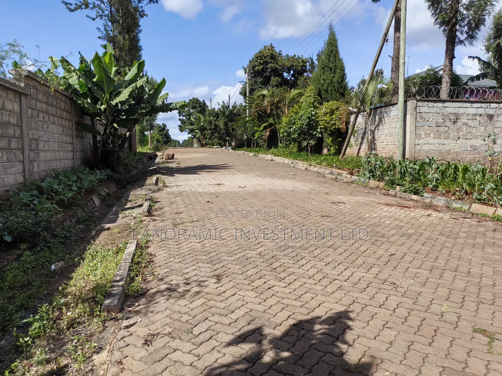 100x100 Plot for Sale in Kabiria in Kabiria