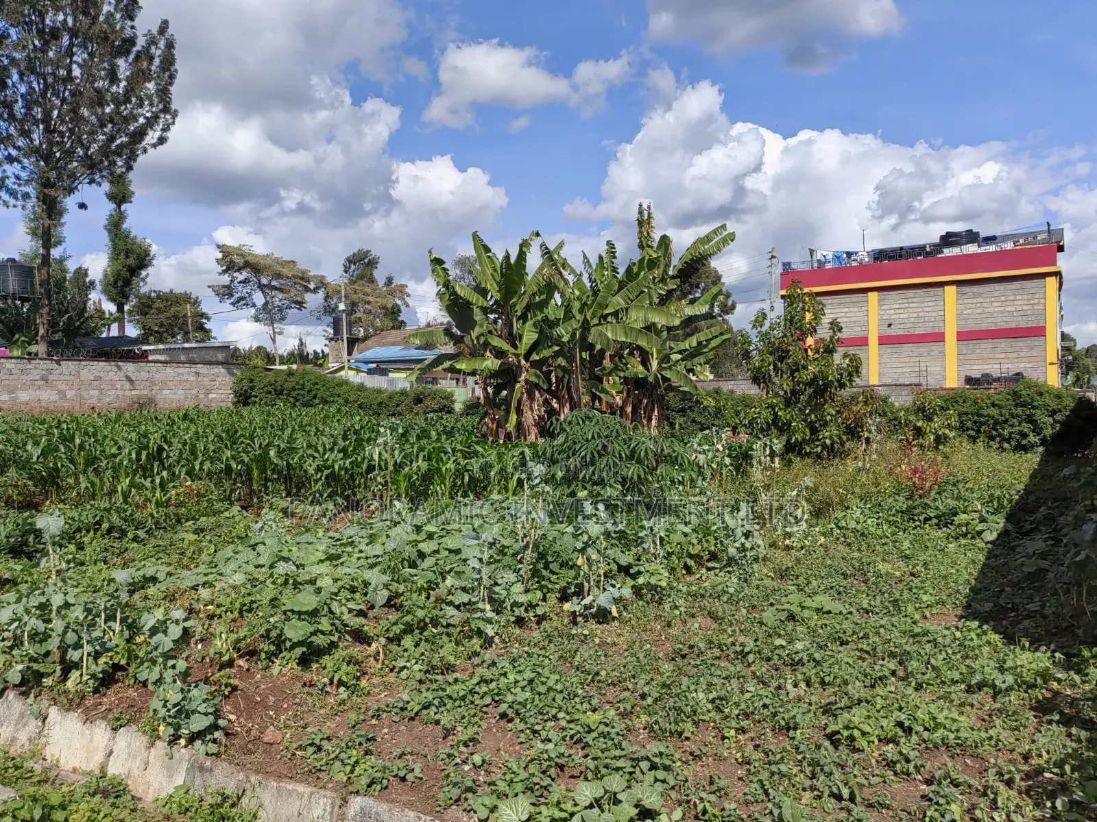 100x100 Plot for Sale in Kabiria in Kabiria