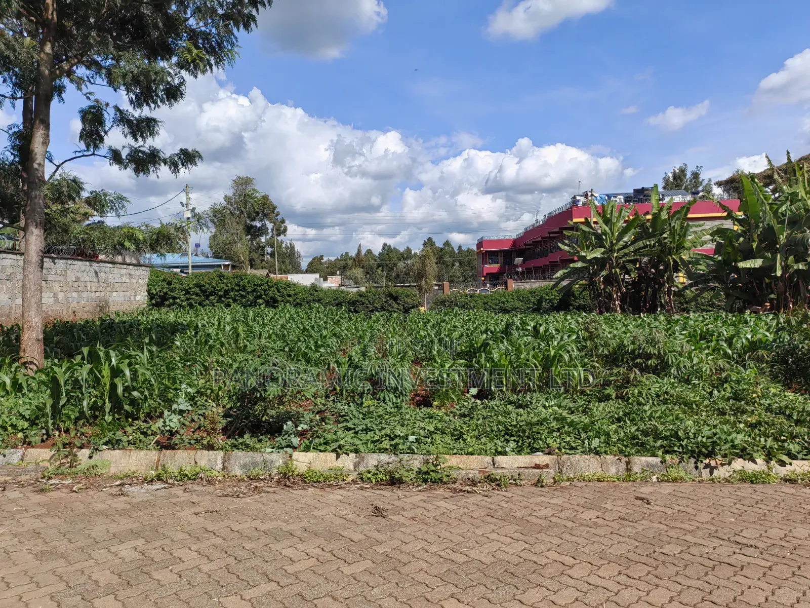 100x100 Plot for Sale in Kabiria in Kabiria