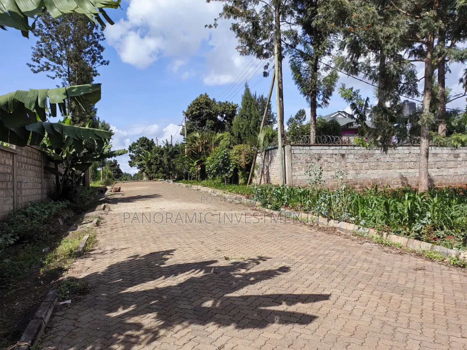 100x100 Plot for Sale in Kabiria in Kabiria