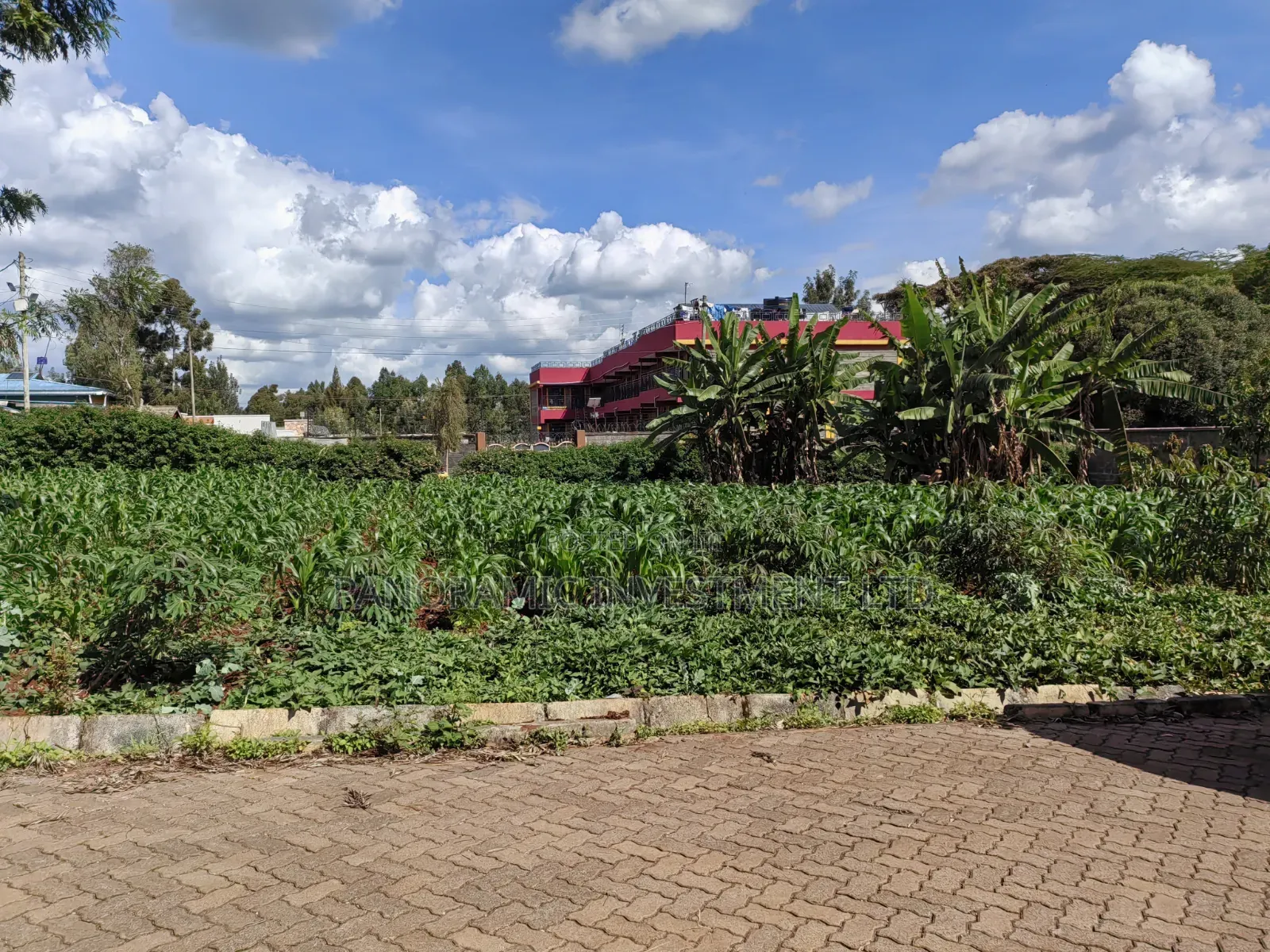 100x100 Plot for Sale in Kabiria in Kabiria
