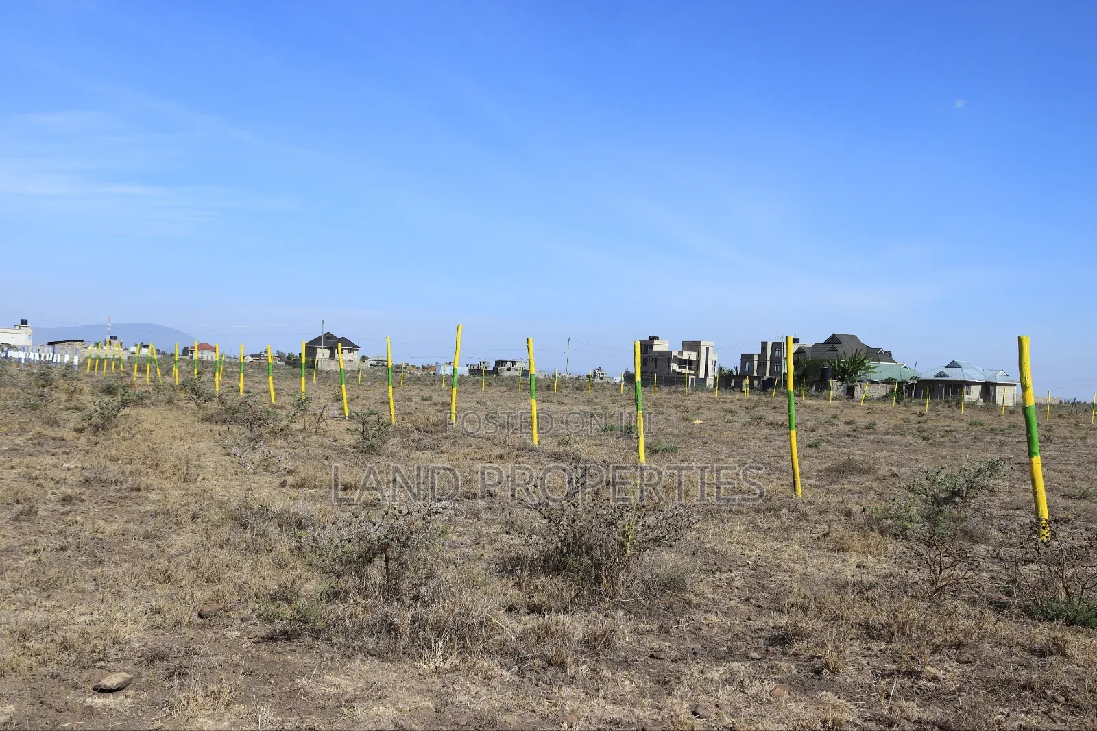 Ruiru Kamakis Plots for Sale Near Eastern Bypass With Ready Title Deed in Kamakis